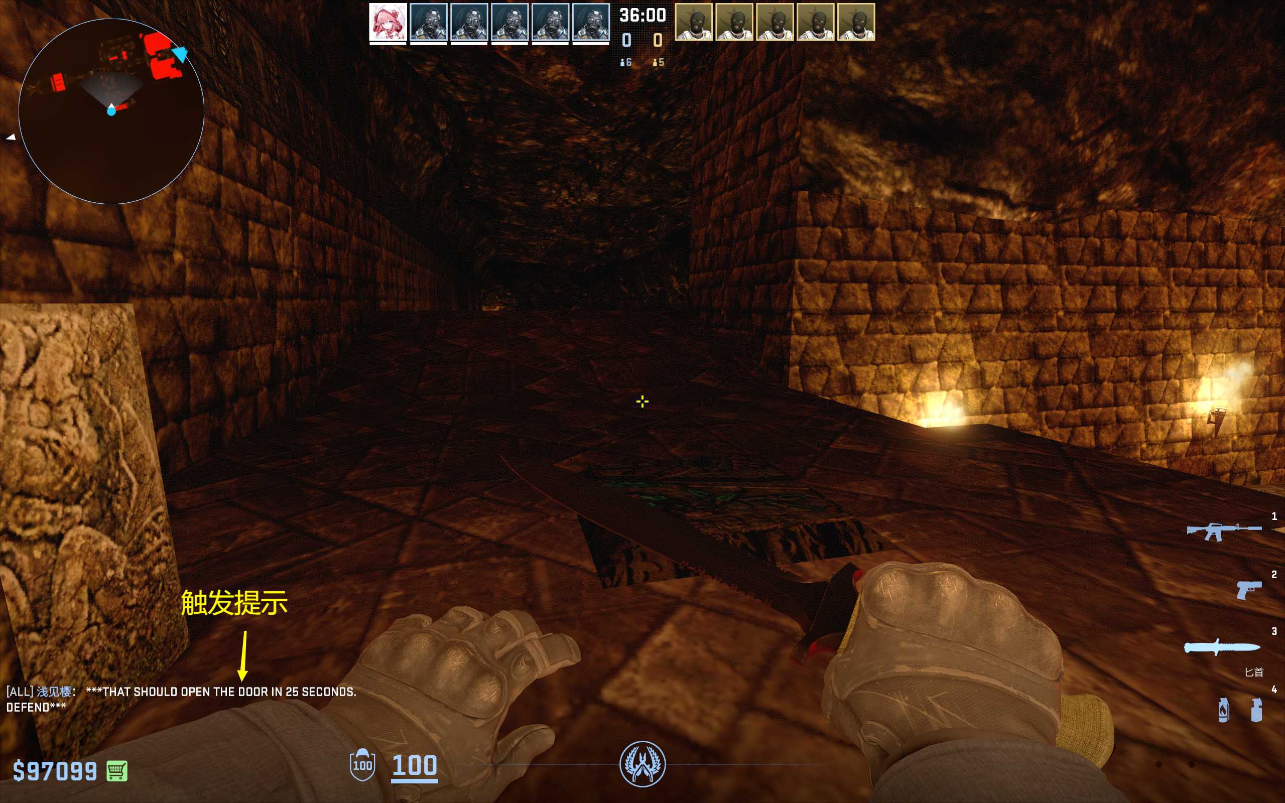 Counter-strike Global Offensive Screenshot 2024.01.18 - 23.17.34.49.png