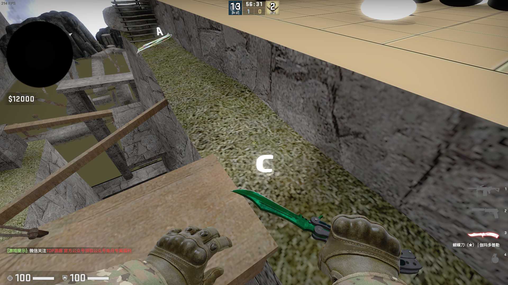 Counter-strike  Global Offensive Screenshot 2024.06.22 - 11.51.15.46.png